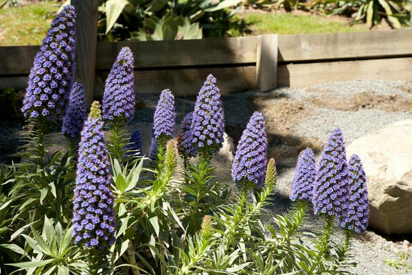 Découvrez comment emballer et protéger efficacement vos objets fragiles avec des cartons lors de votre déménagement !